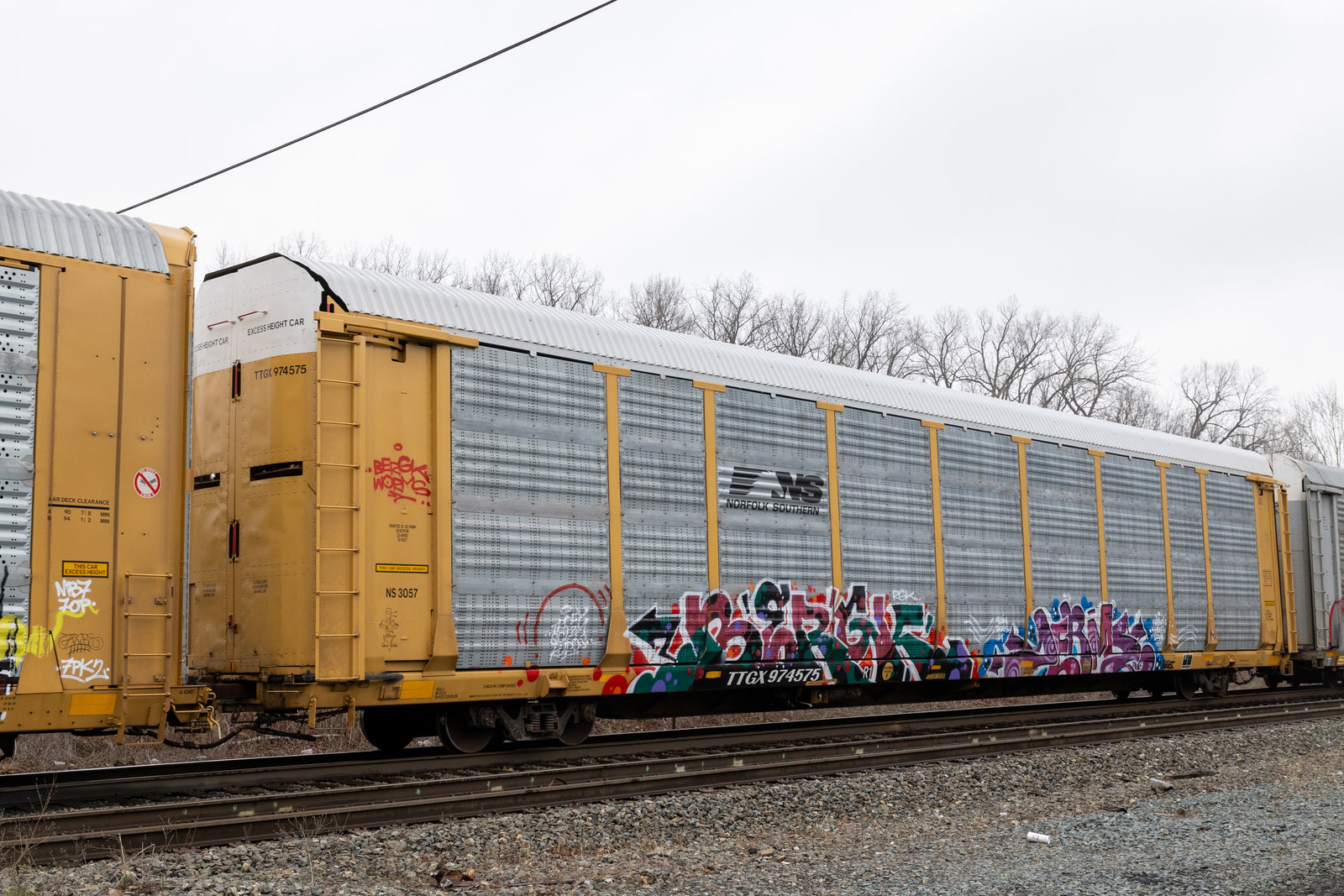 TTGX 974575