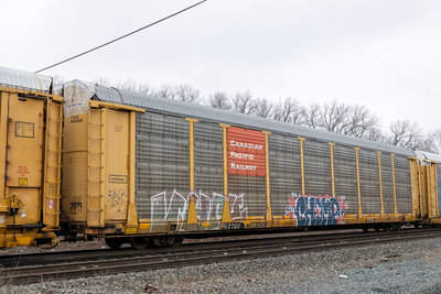 TTGX 988420
