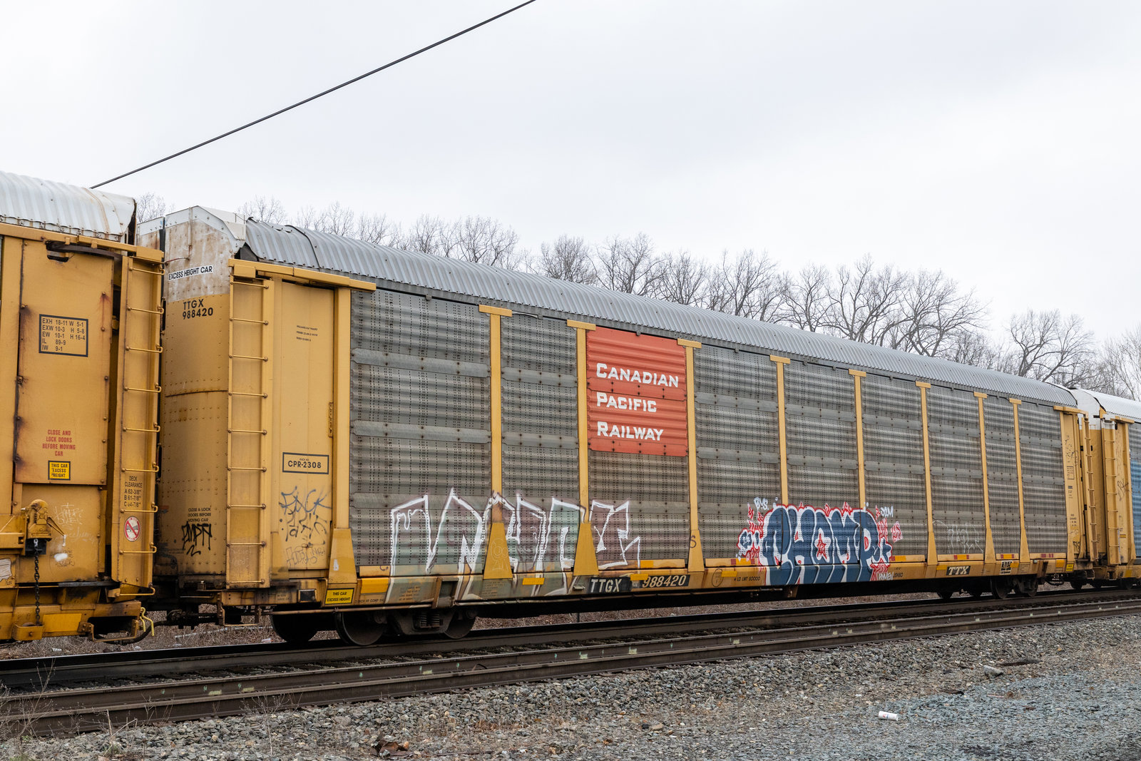 TTGX 988420