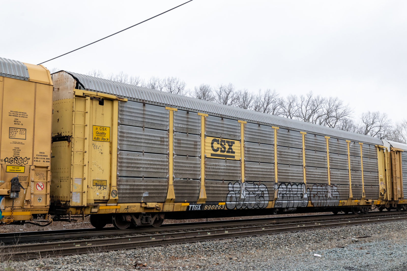 TTGX 990263
