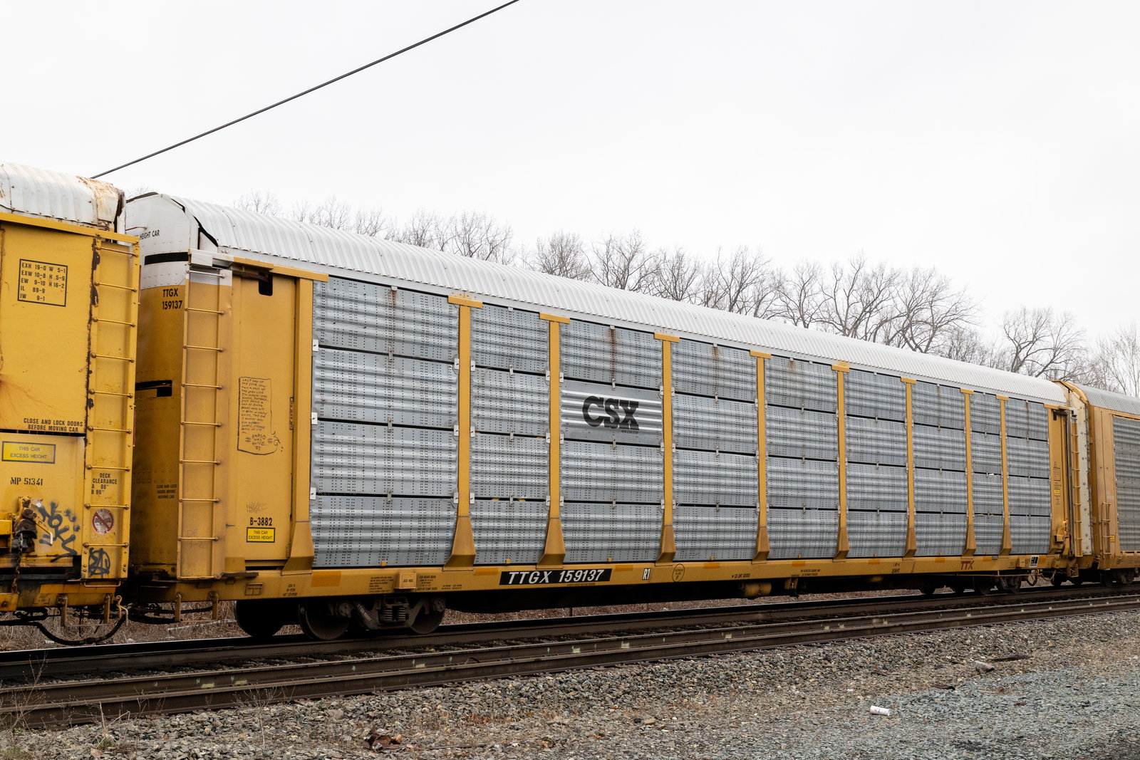 TTGX 159137
