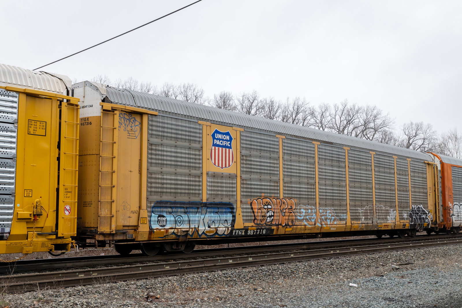 TTGX 987316