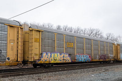 TTGX 993426