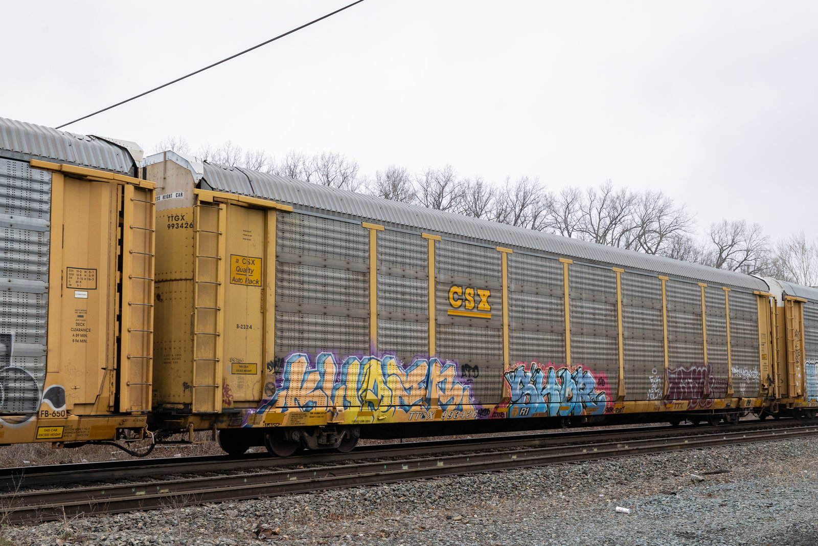 TTGX 993426