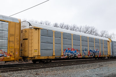 TTGX 992261