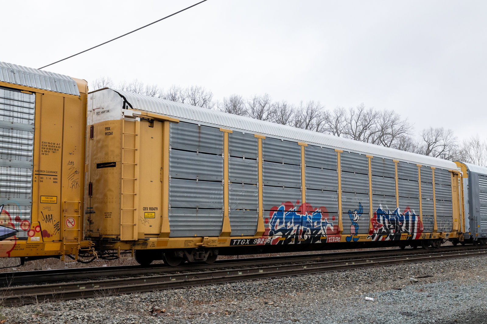 TTGX 992261