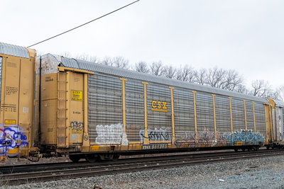 TTGX 986365