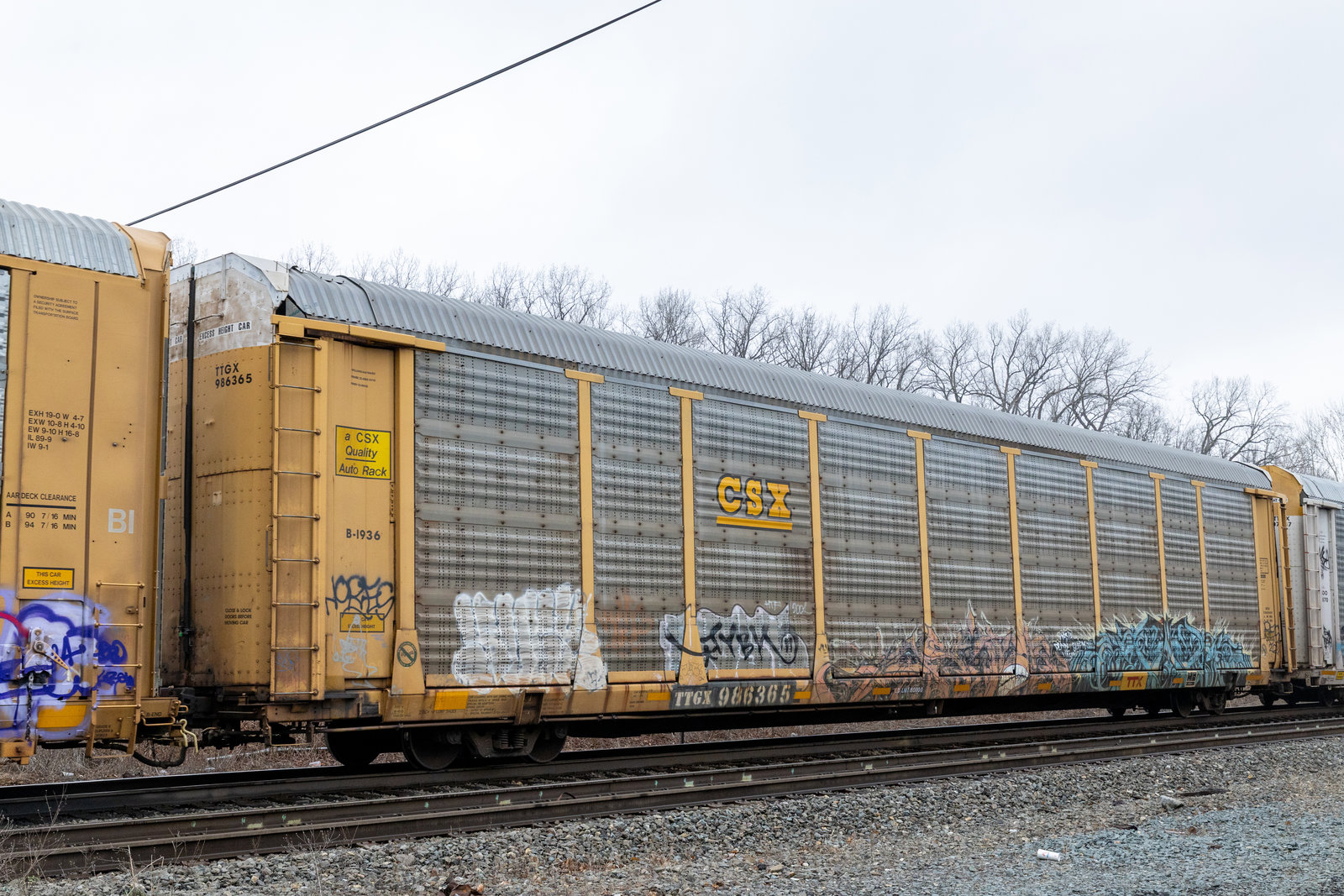 TTGX 986365