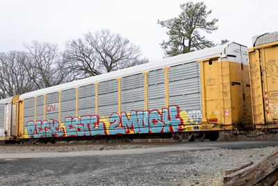 TTGX 255146