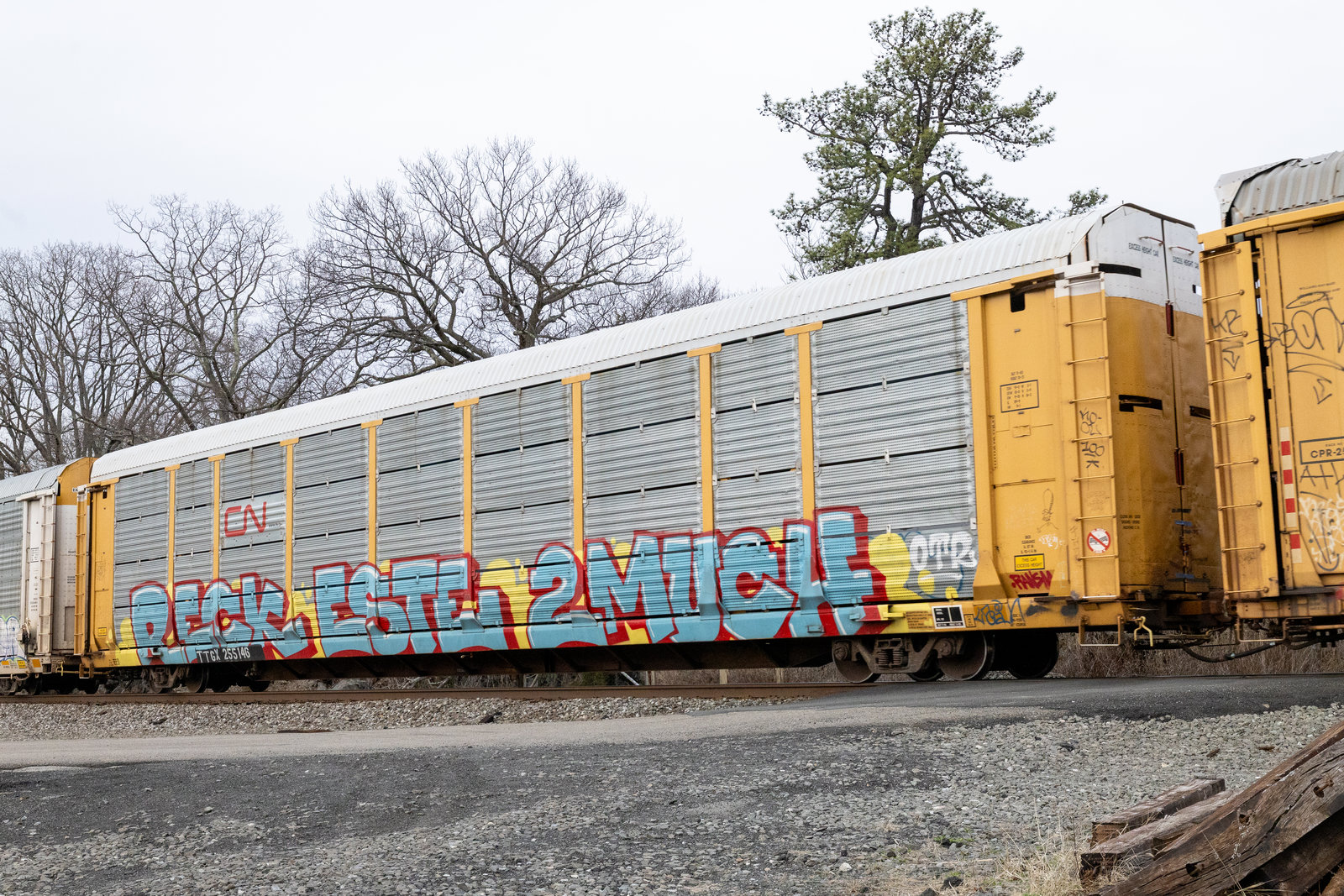 TTGX 255146