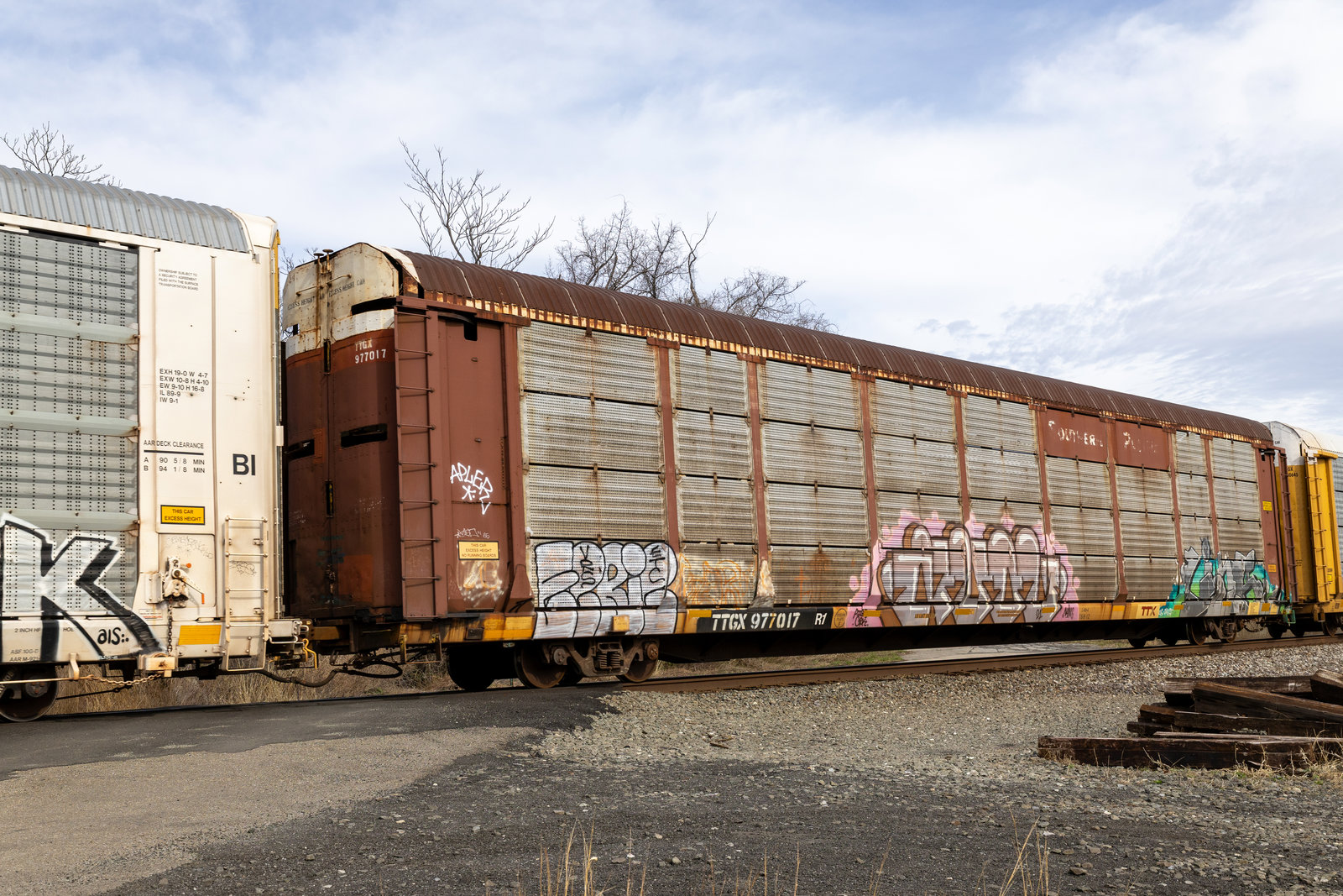 TTGX 977017