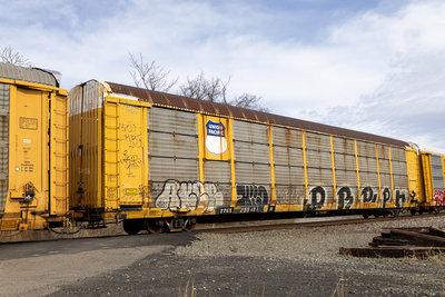 TTGX 255481