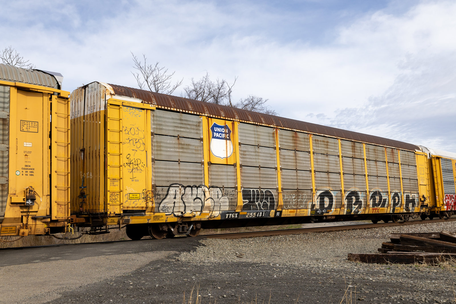 TTGX 255481