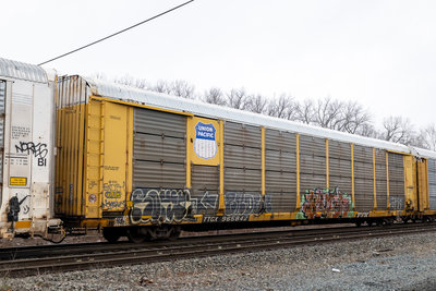 TTGX 965842