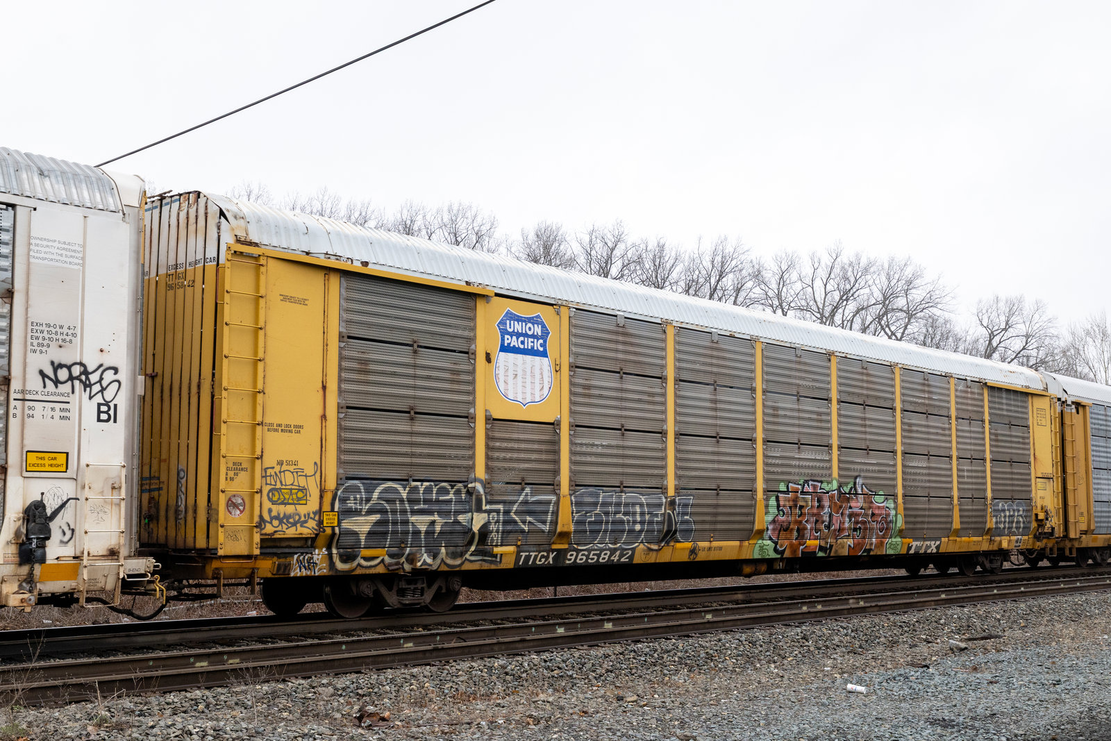 TTGX 965842
