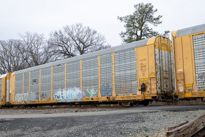 TTGX 716307