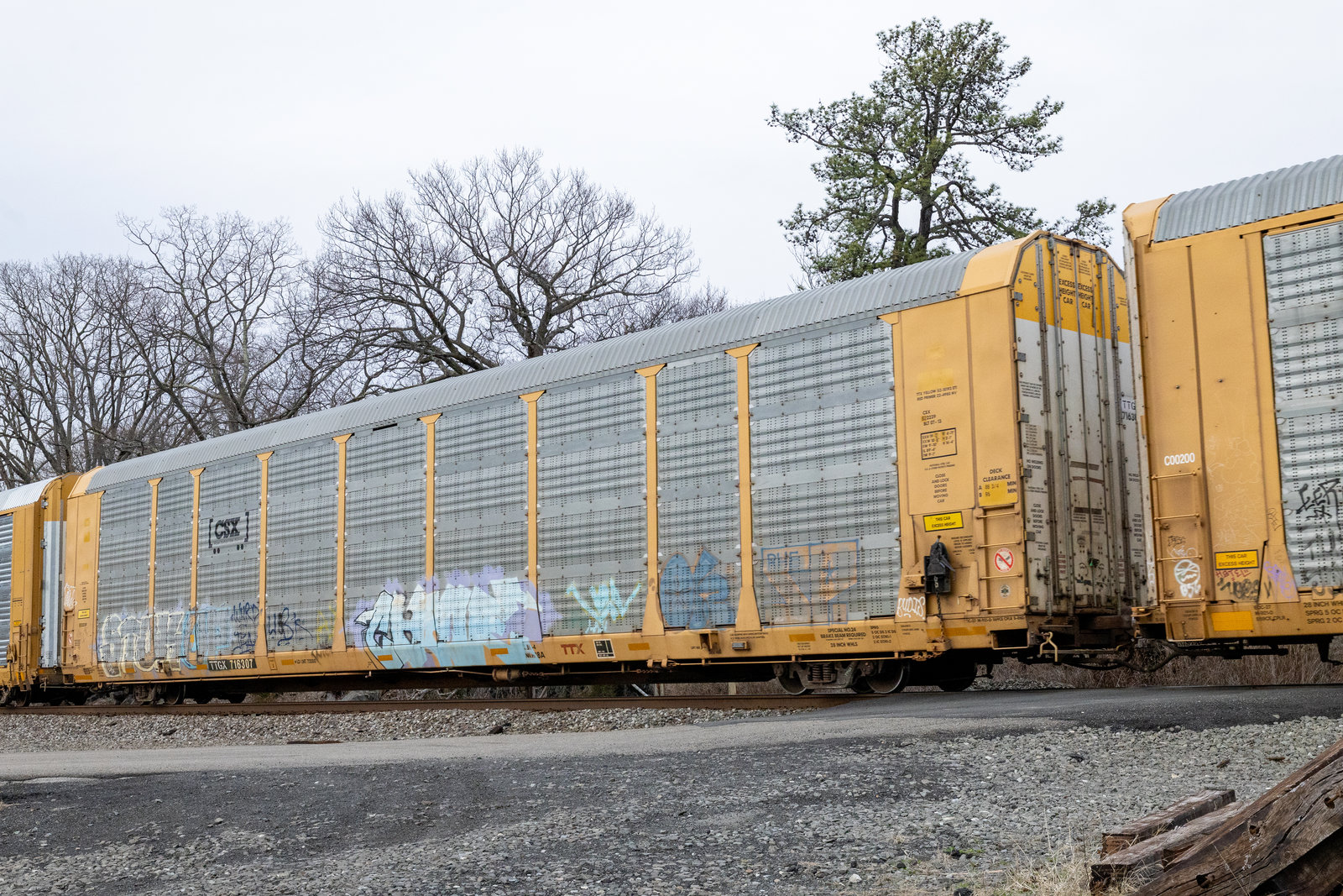 TTGX 716307