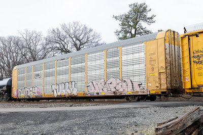 TTGX 716293