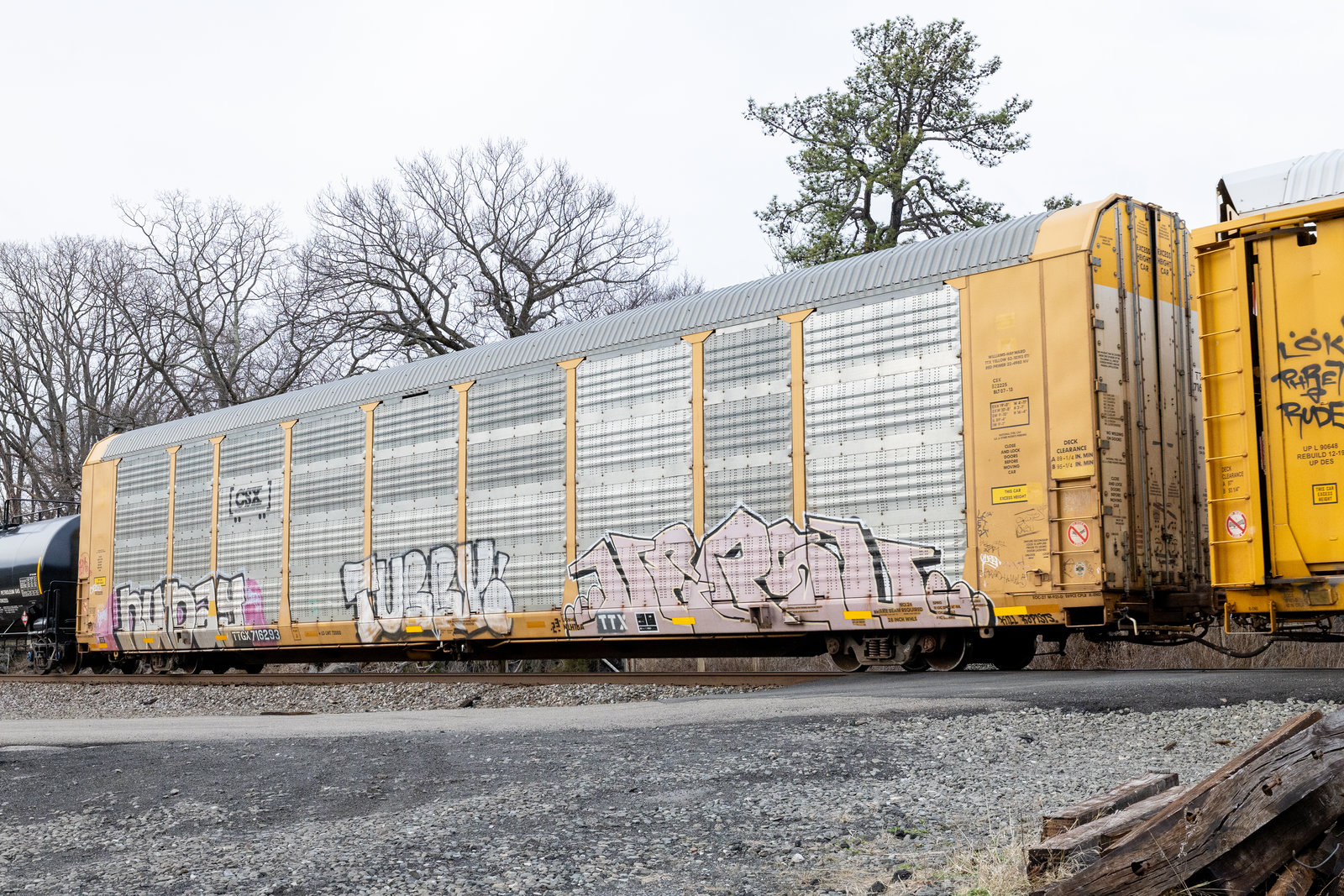 TTGX 716293