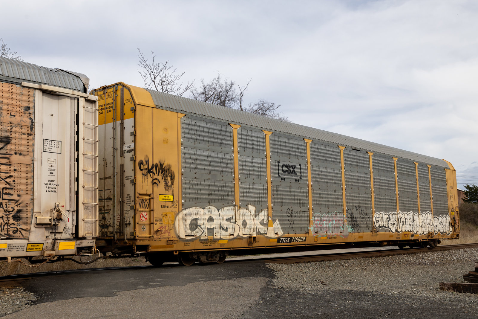 TTGX 716009