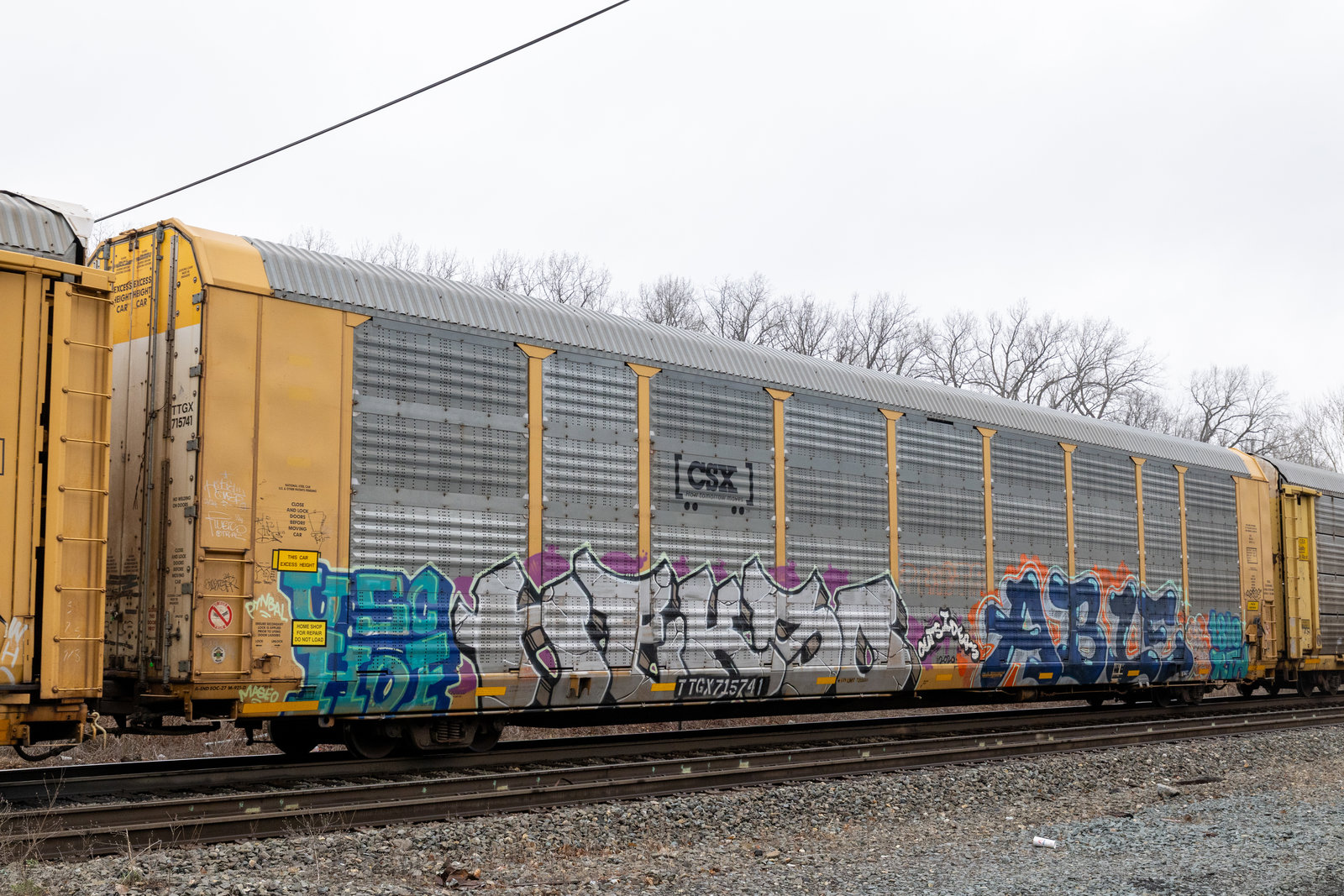 TTGX 715741
