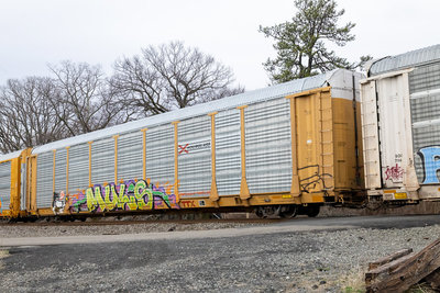 TTGX 701848