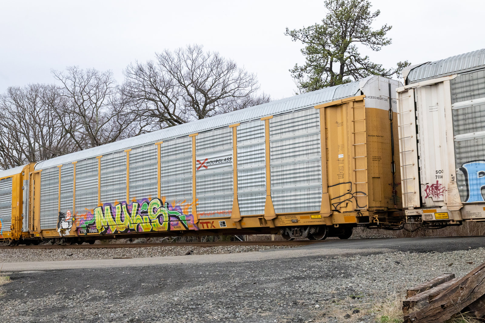 TTGX 701848