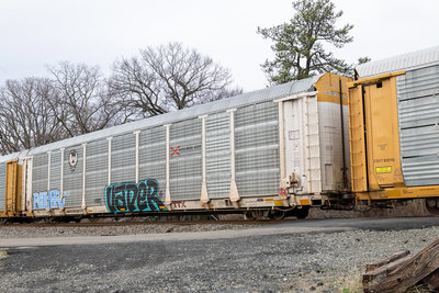 TTGX 707688