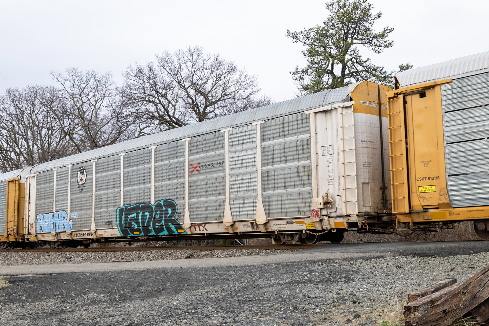 TTGX 707688