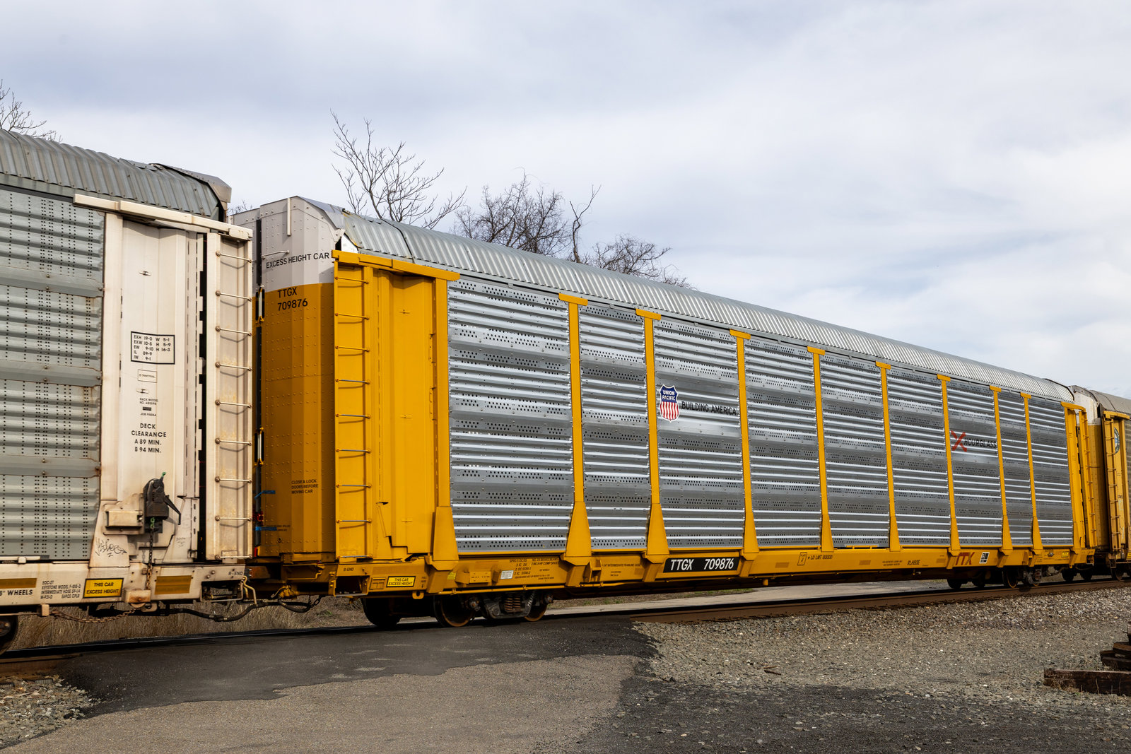 TTGX 709876