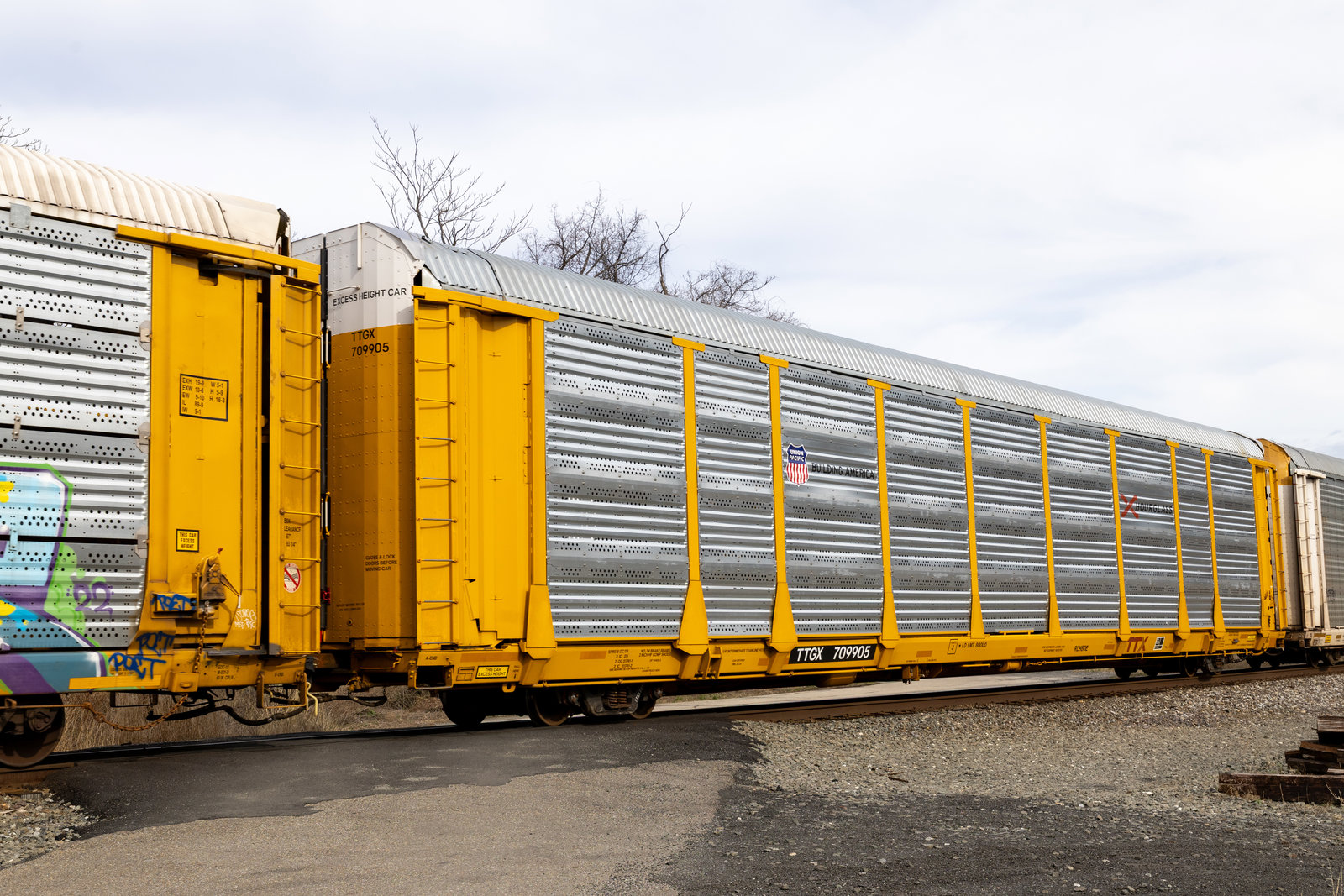 TTGX 709905