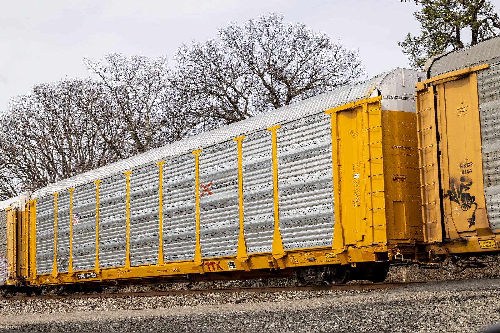 TTGX 709939