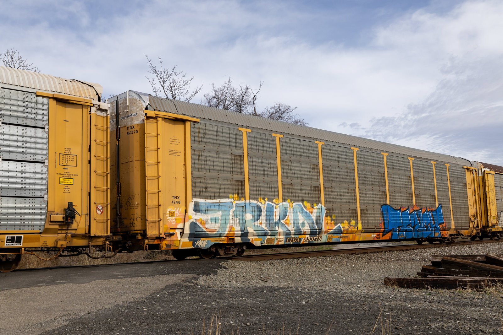 TTGX 853770