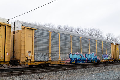 TTGX 853983