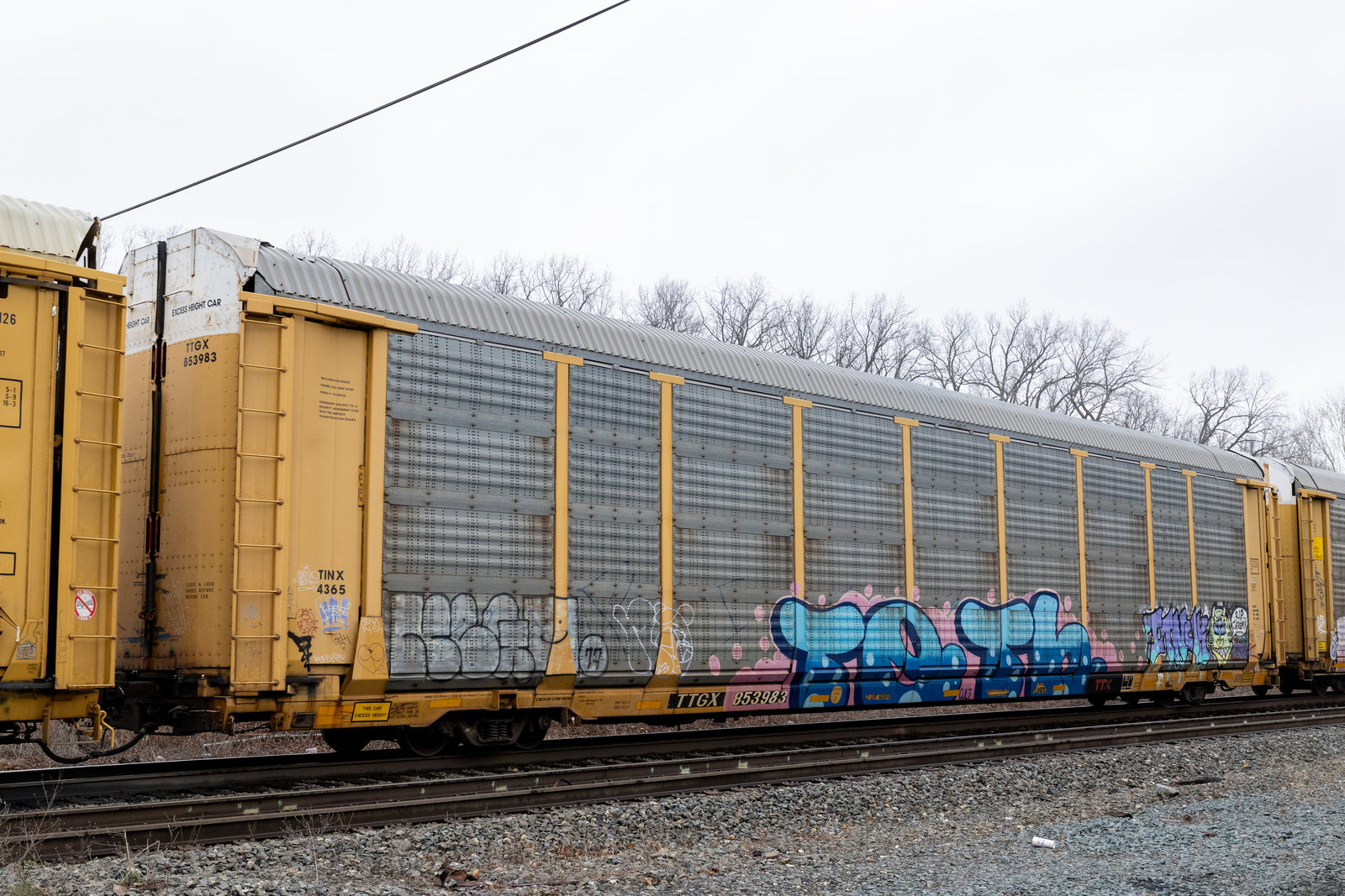 TTGX 853983