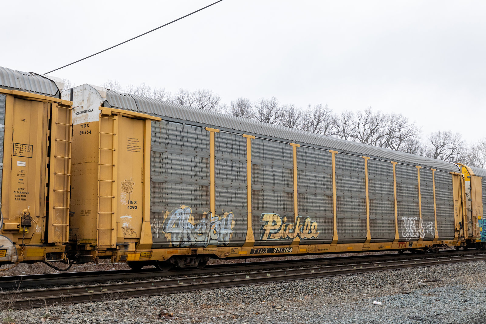 TTGX 851364