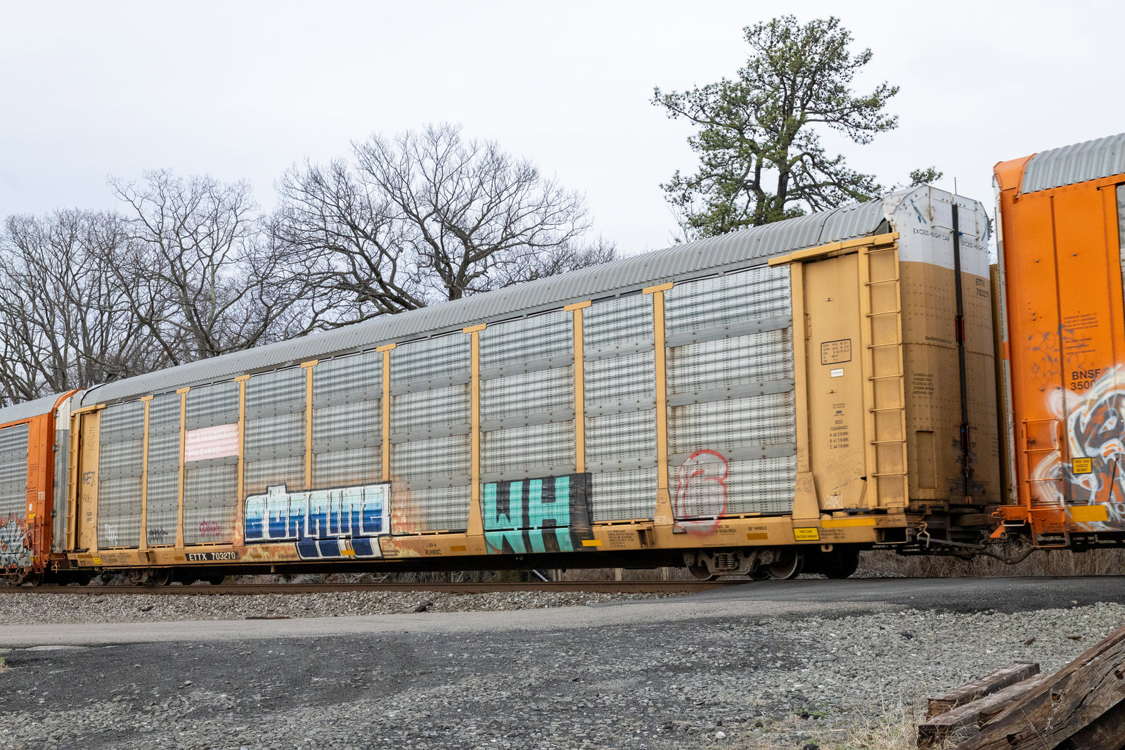 ETTX 703270