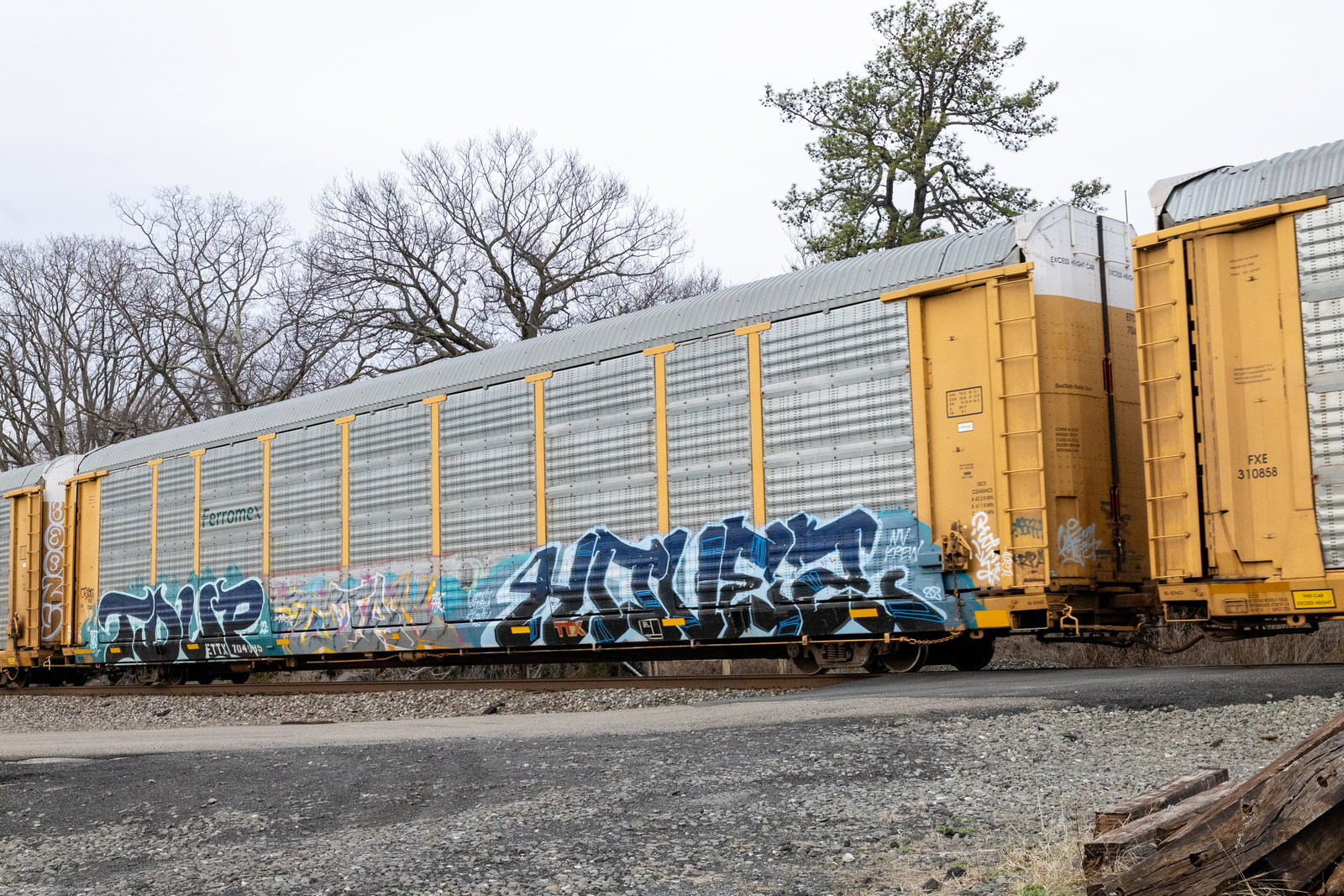ETTX 704085