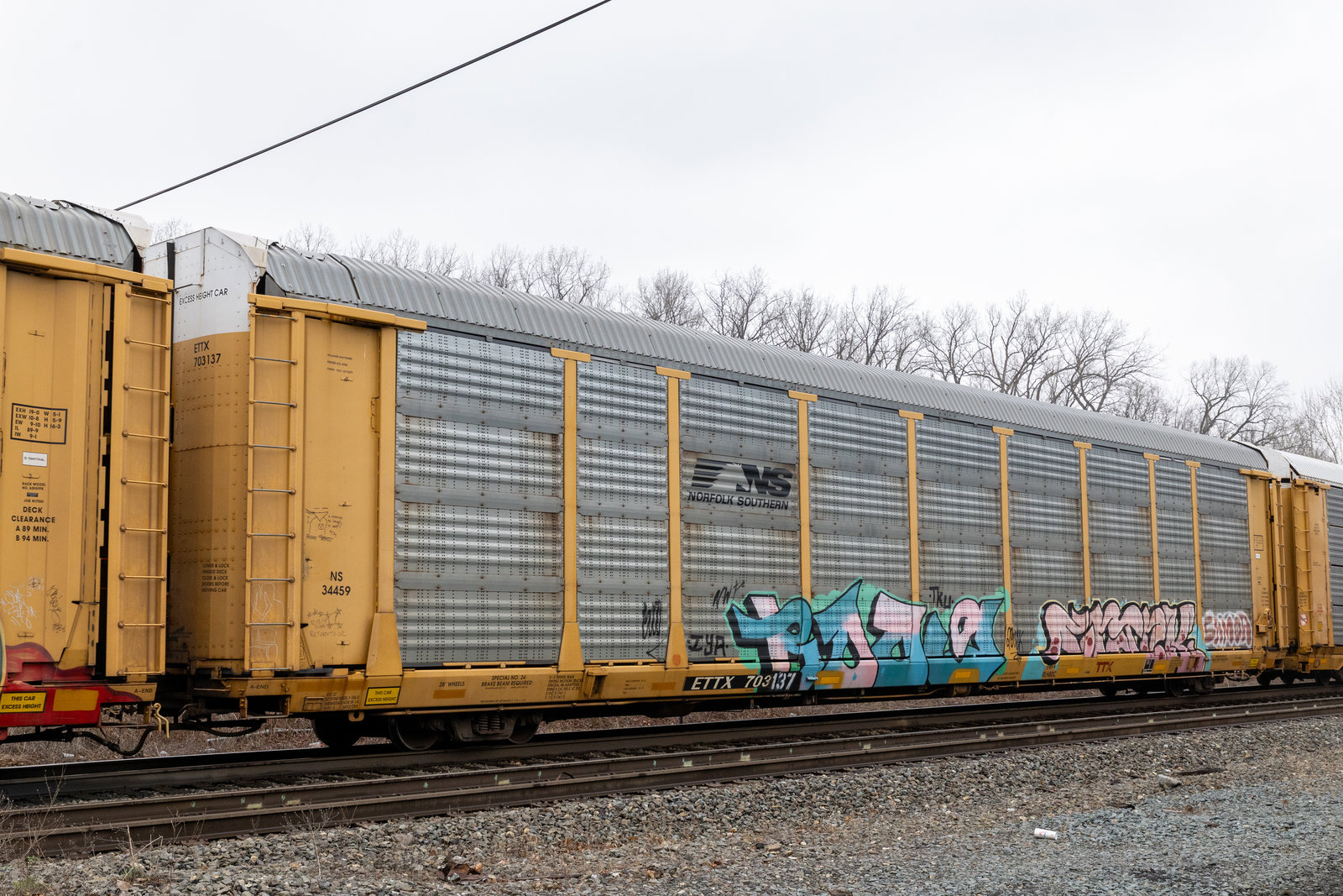 ETTX 703137