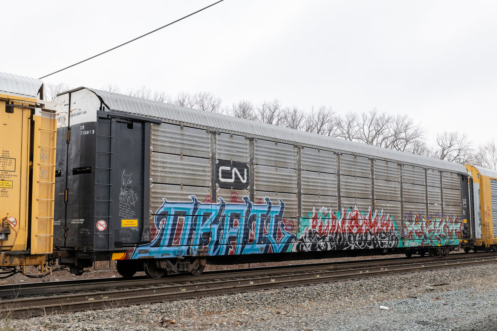 CN 710813
