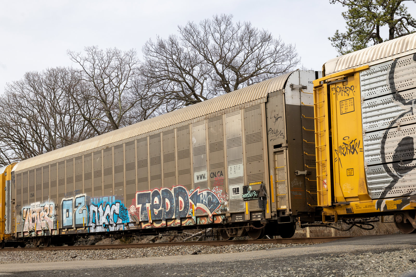 CNA 712953