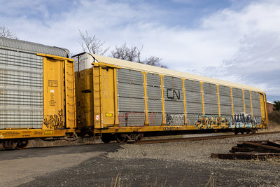 CNA 712383