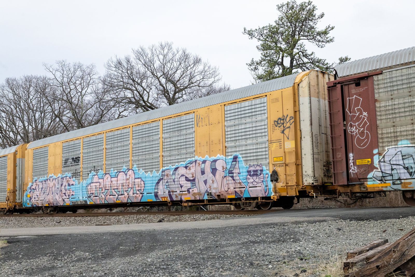 CTTX 691734