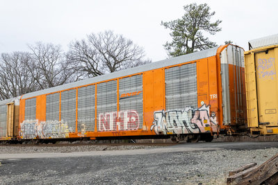 CTTX 695023