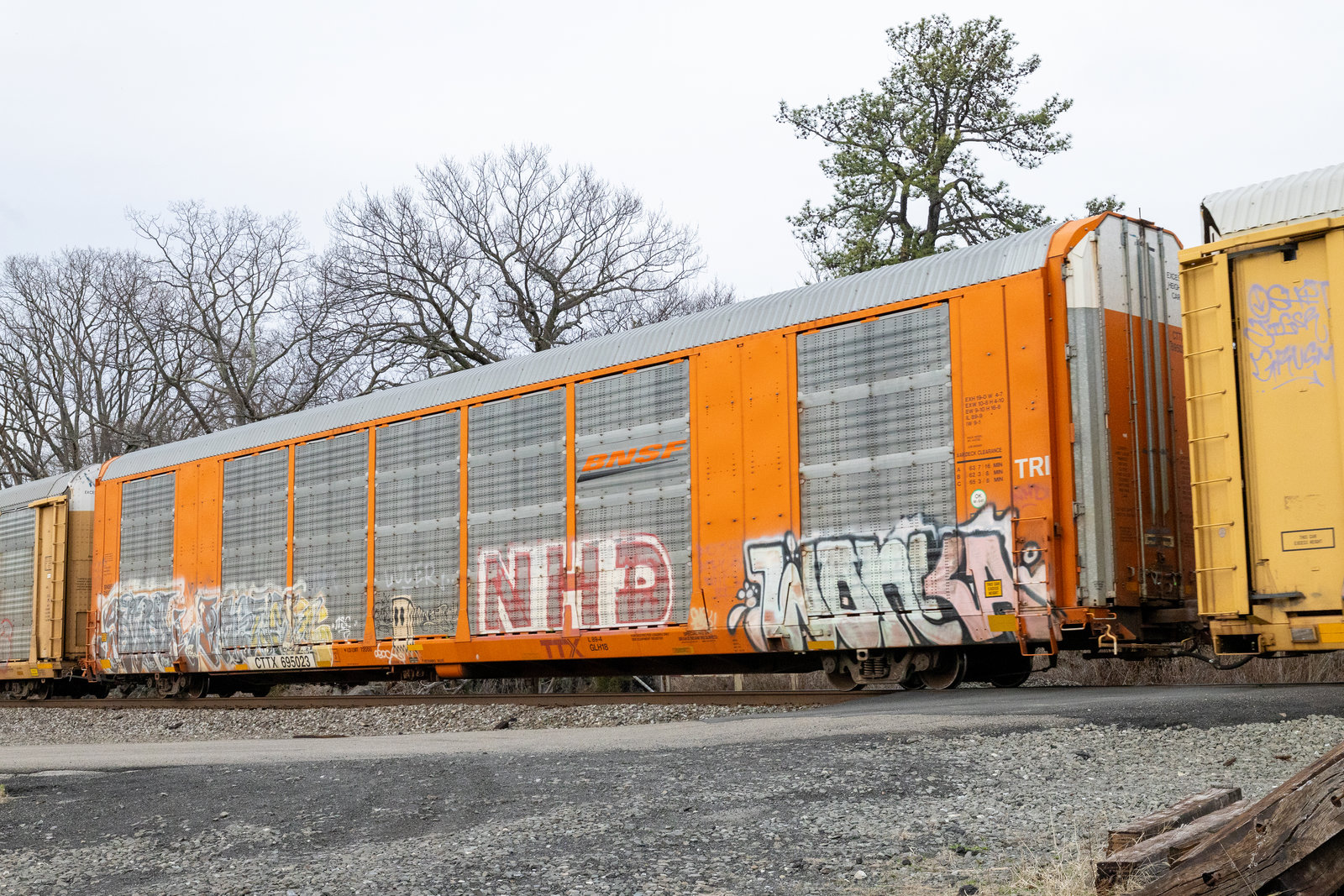 CTTX 695023