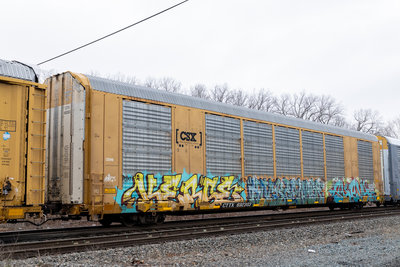 CTTX 692303