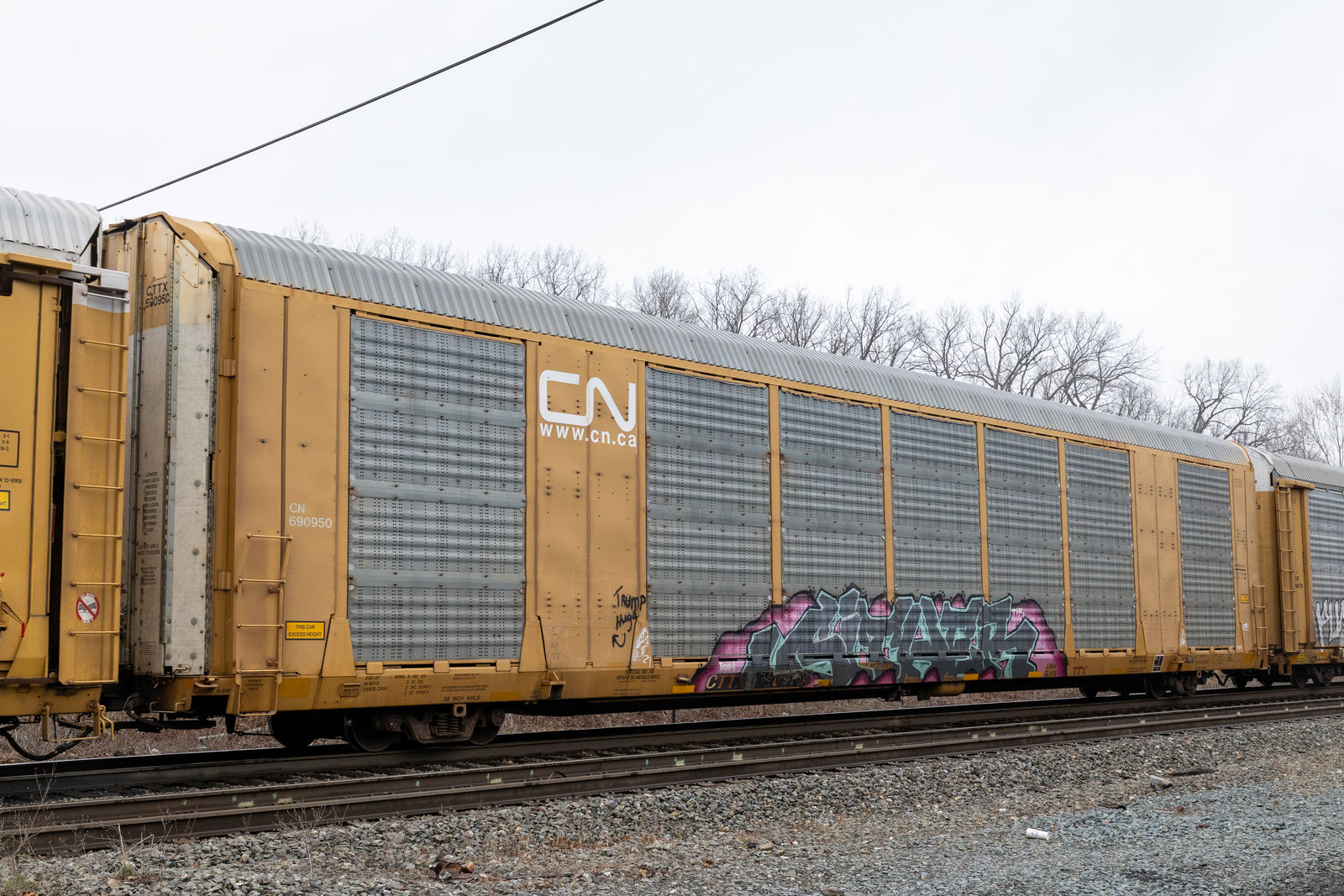 CTTX 690950