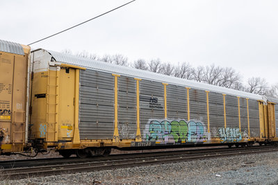NS 171138