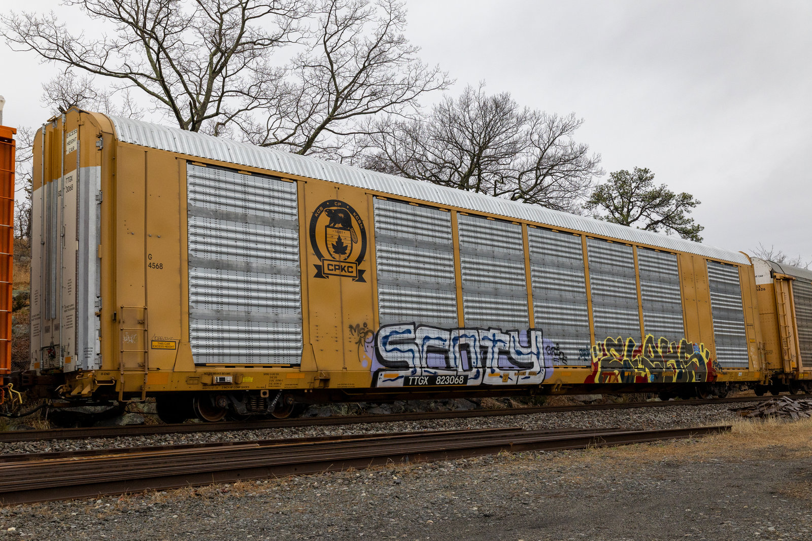 TTGX 823068
