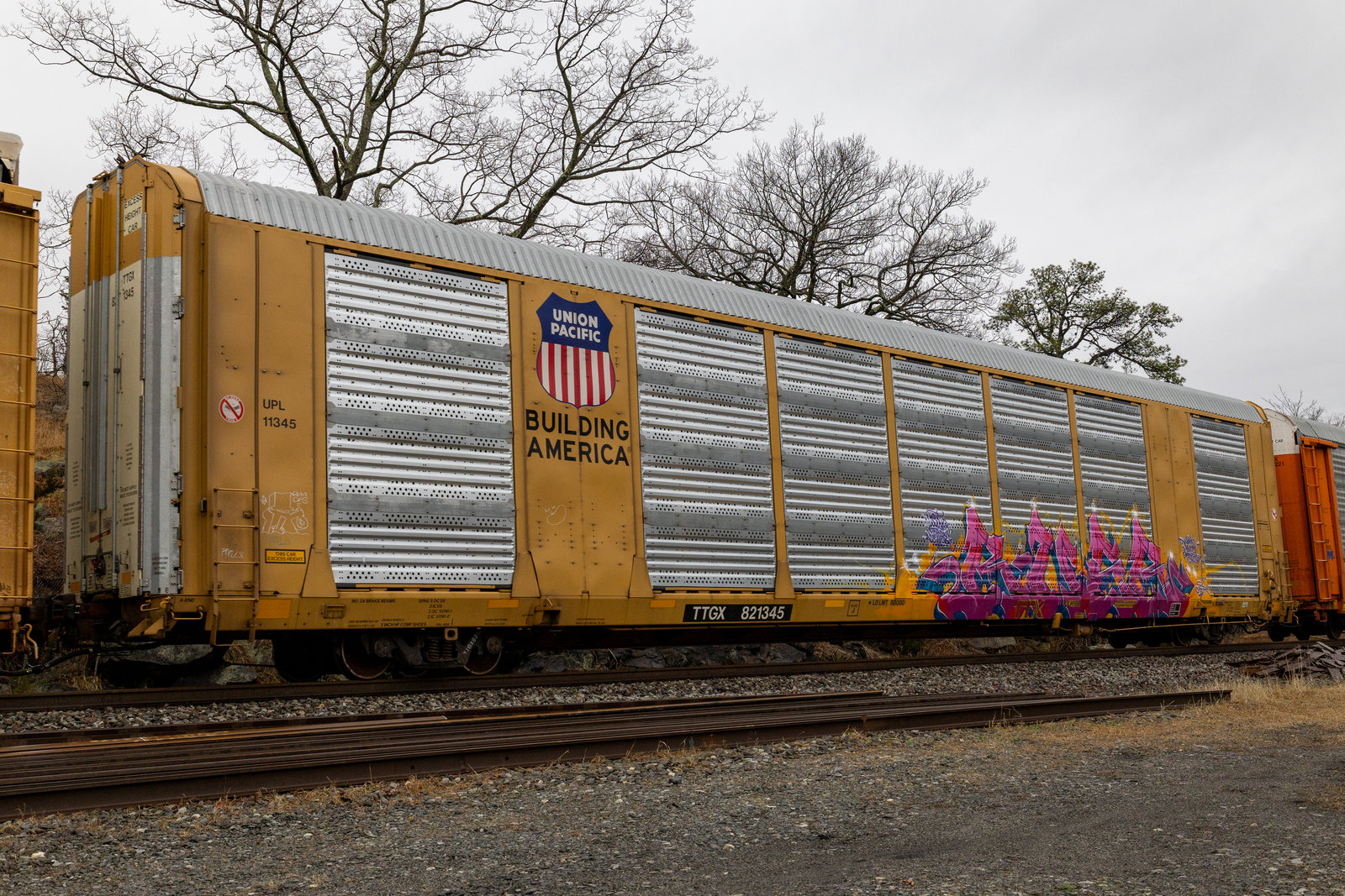 TTGX 821345